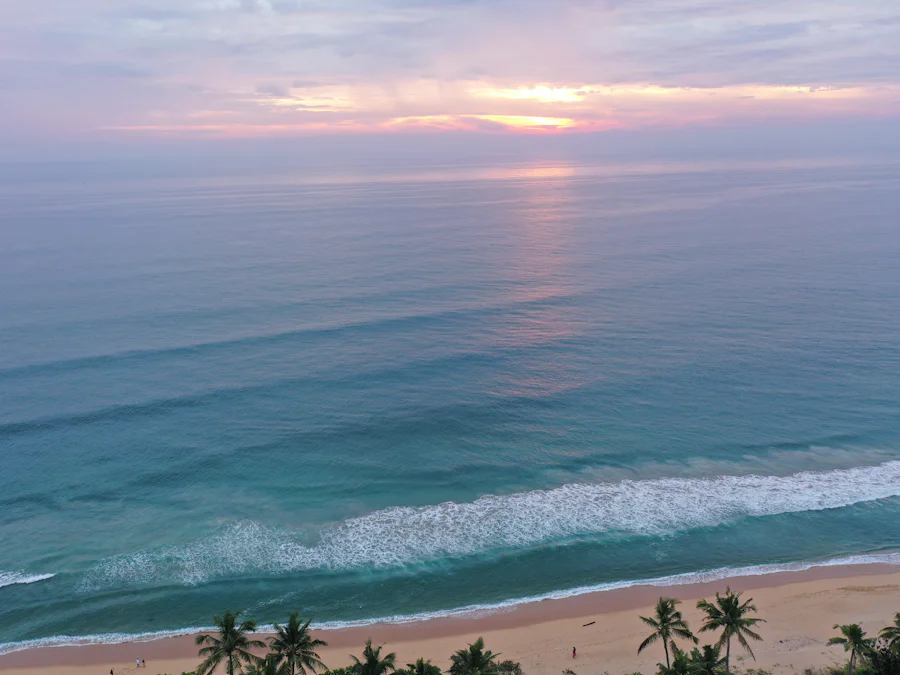Palm-lined Bali coastline at sunset, photographed from the air
