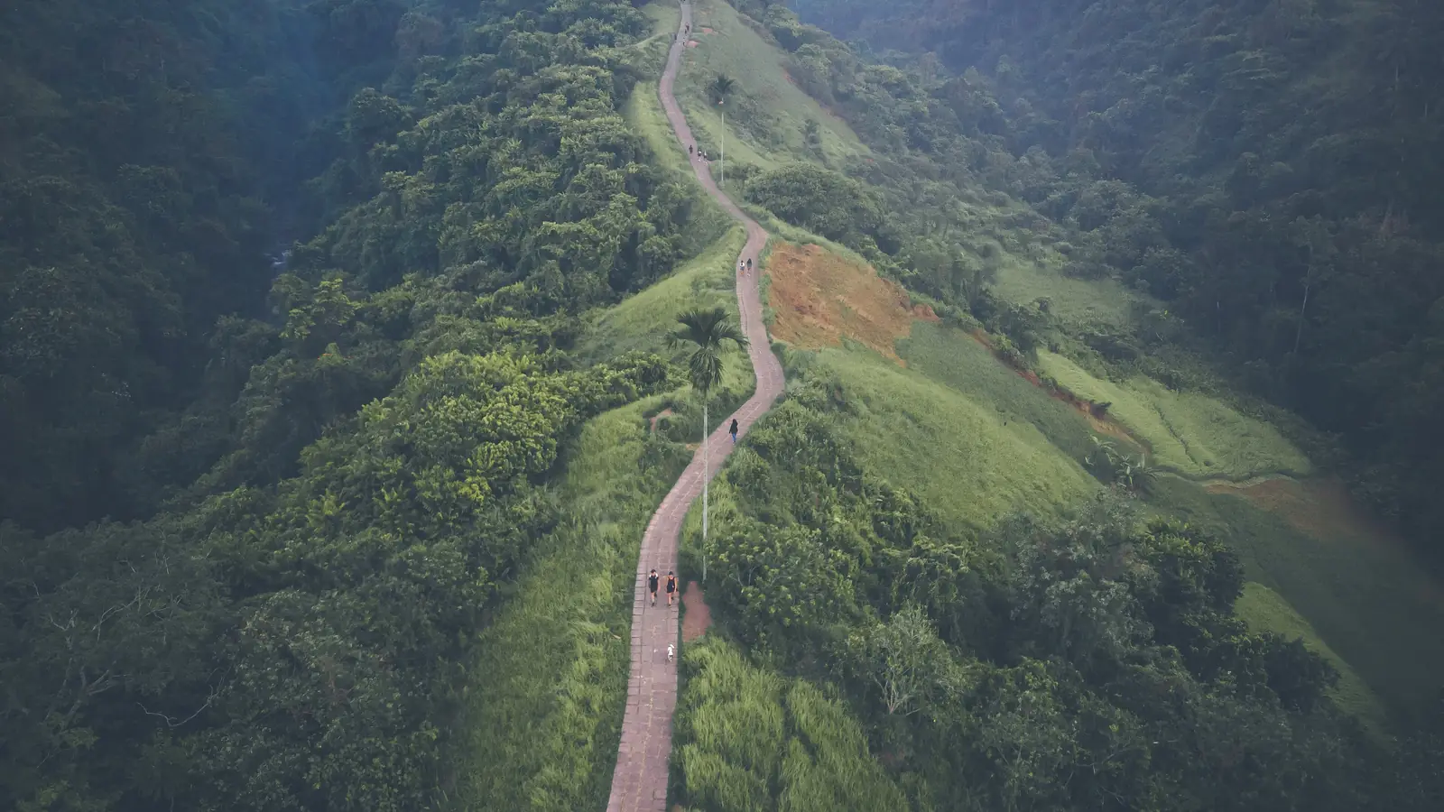 Aerial view of the green Campuhan Ridge valley in Bali, where low-noise drone rules apply