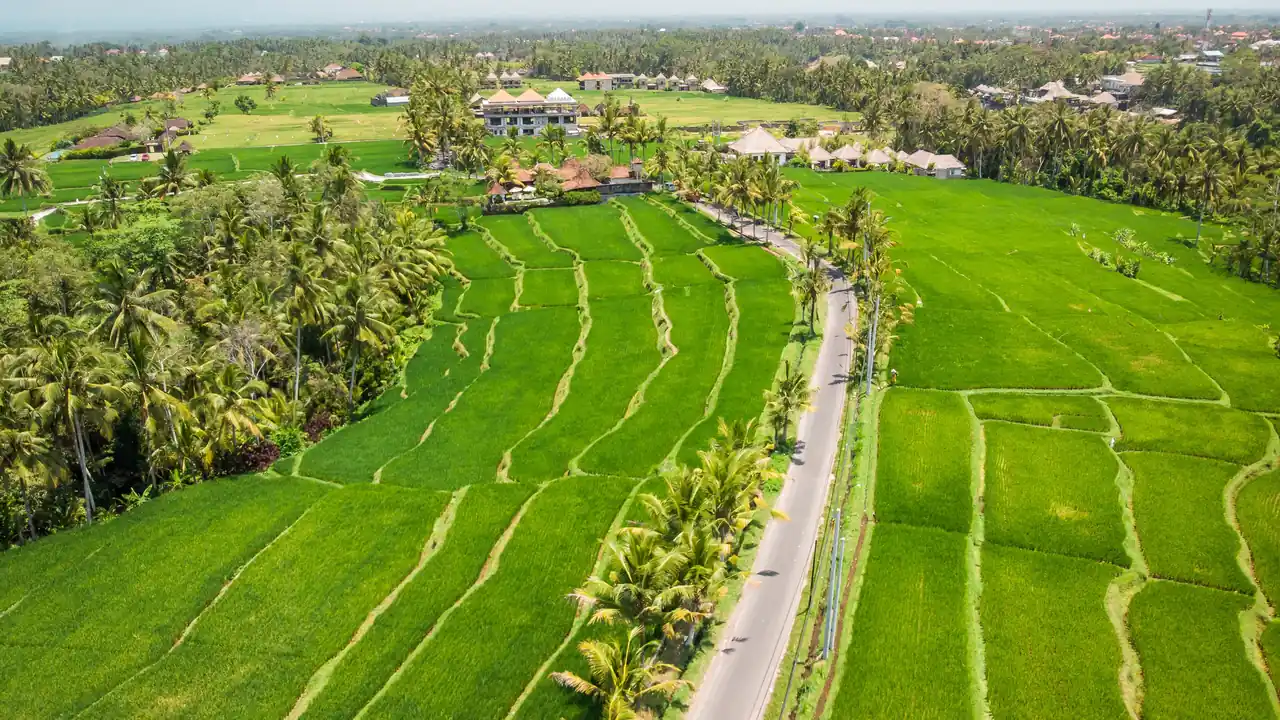 Drone view of Bali rice terraces with a walking path, under 2027 drone permit regulations